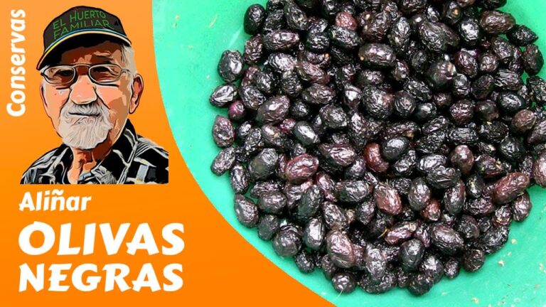 Los Mejores Lugares para Disfrutar Helado Artesanal en Hell&iacute;n