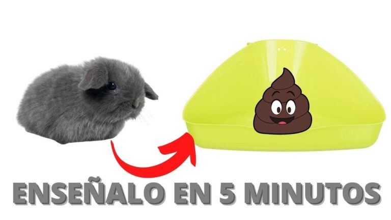 Curso de Cer&aacute;mica en Madrigueras: Mejores Opciones