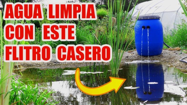 Guía para Comprar Productos de Limpieza Ecológicos en Pozo Cañada