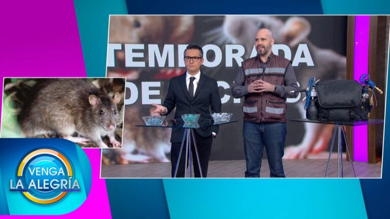Dónde encontrar maletas en Madrigueras