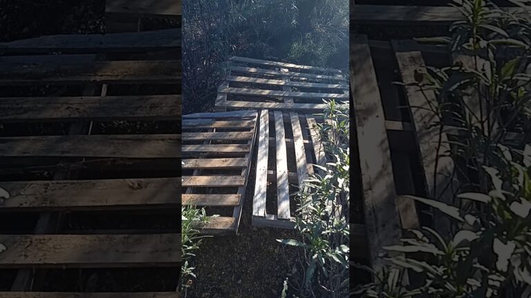 Normativas de Construcci&oacute;n en Madrigueras: Gu&iacute;a Esencial