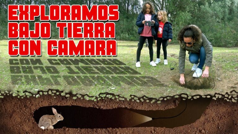 Tiendas de Juguetes en Madrigueras: Gu&iacute;a Completa