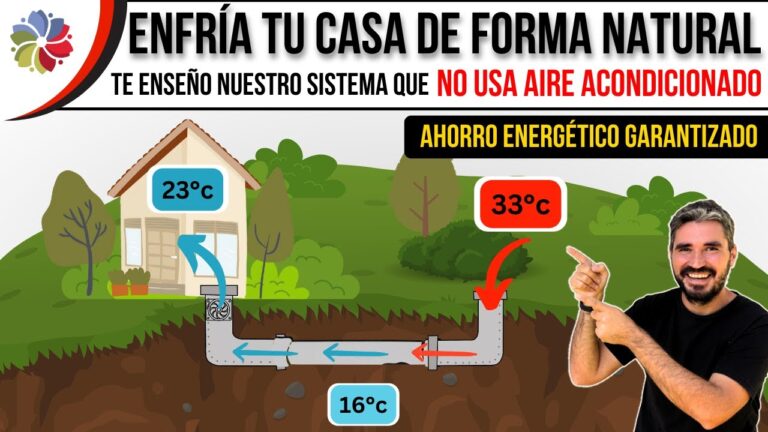 Cursos de Verano en Pozo Ca&ntilde;ada: Opciones y Recomendaciones