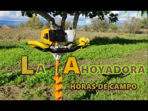 Gu&iacute;a para Solicitar Ayuda al Alquiler en Madrigueras