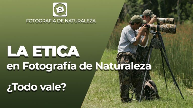 Cursos de Fotograf&iacute;a Disponibles en Madrigueras