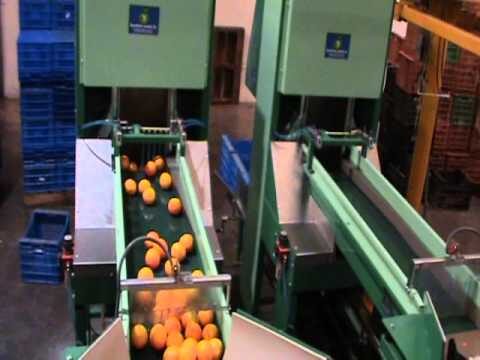 Gu&iacute;a para encontrar tiendas de productos a granel en La Roda