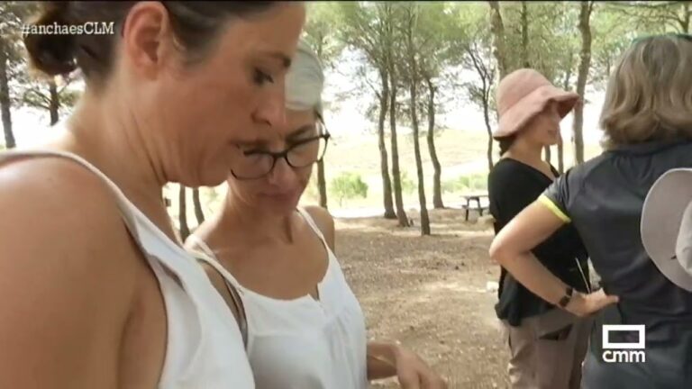 Actividades de Ocio en Chinchilla de Monte-Arag&oacute;n: D&oacute;nde Encontrarlas