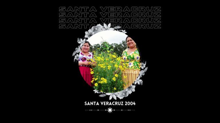 Leyes que Regulan las Fiestas en Villarrobledo