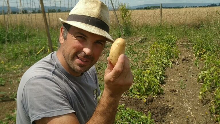 Zonas Verdes con Mayor Sombra en Almansa