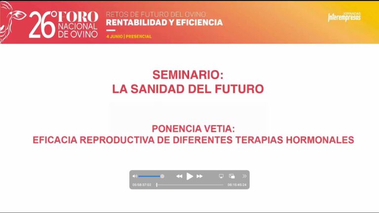 Servicios de Dise&ntilde;o Gr&aacute;fico en Tarazona de la Mancha
