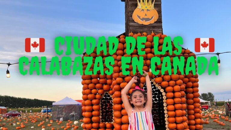 Actividades Familiares en Pozo Cañada